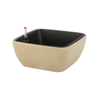 Jardinière carrée moderne en plastique avec finition sablée. Idéal pour les bonsaïs et les plantes succulentes d'intérieur. Comprend un système d'arrosage automatique