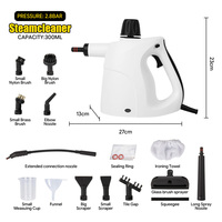 Nettoyeur vapeur électrique portatif avec tuyau d'extension, brosses et raclette, 300 ml, pour le nettoyage domestique