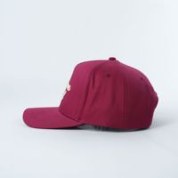 Casquettes de golf personnalisées à 5 panneaux avec logo brodé, OEM ODM, usine de gorras, casquettes de baseball en coton pour hommes