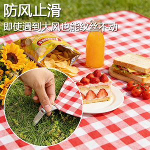 Piquet de tente en acier inoxydable à tête plate, accessoire de camping en plein air - Product Image 4
