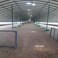Grande serre pour l'élevage d'animaux de ferme élevage de porcs moutons poulets en plastique durable pour l'agriculture durable