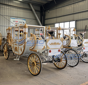 2026 Calèche royale à chevaux pour mariages et visites touristiques, Calèches à chevaux électriques et Chariots électriques à vendre - Product Image 6