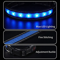 Collier lumineux pour chien personnalisé, rechargeable par USB, réglable, clignotant, LED, 12 heures d'autonomie, en nylon maillé, imperméable