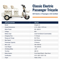 Tricycle électrique pour adultes à 2 places, tricycle électrique pour seniors, scooter de loisirs à 3 roues avec paniers avant et arrière