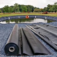 Membrane géotextile imperméable en PVC/LDPE/LLDPE/HDPE pour bassin préformé rigide, anti-corrosion, garantie 5 ans et plus pour la construction