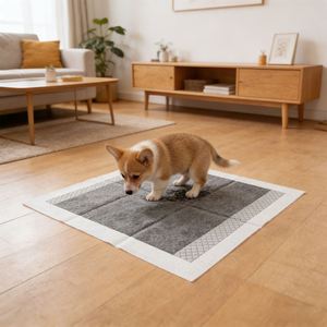 Fabricant professionnel de tapis absorbants pour animaux de compagnie, tapis d'apprentissage pour chiots OEM, fabricant de tapis absorbants pour animaux de compagnie sur mesure, tapis absorbants pour chiens OEM - Product Image 2