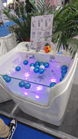 EUR Baignoire de massage pour animaux de compagnie Mini Dog Pet Baignoire en acrylique Toilettage pour chiens Spa Micro Bubble Baignoire au lait d'ozone pour animaux de compagnie