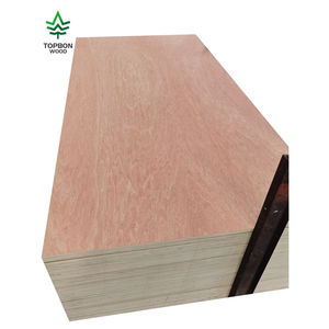 Contreplaqué Bintangor 3/<span class=keywords><strong>4</strong></span> <span class=keywords><strong>5</strong></span>/8, contreplaqué pour meubles, contreplaqué pour panneaux - Product Image 6