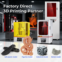 Service d'impression 3D personnalisé en usine : figurines, modèles de chaussures, modèles dentaires, prototypes, impression UV, résine, impression 3D LCD