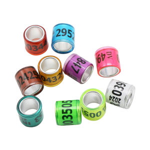 Igeon-Molde de dentificación para el hogar, instrumento odontológico de alta calidad, fácil de llevar - Product Image 2