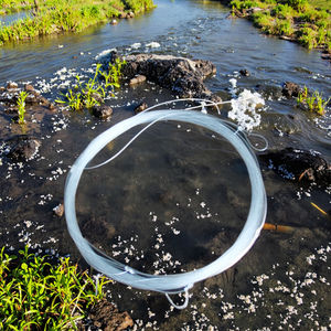 Deux mouches humides pour la pêche à la mouche, leader de mouche tchèque, 9 pieds, 10 lb - Product Image 4