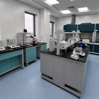 Meubles de laboratoire pour essais d'or, tables de laboratoire médical, armoire mobile, banc de laboratoire résistant aux acides et hotte d'extraction de fumées