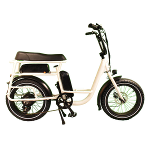RaiderRover-40F double batterie 20 pouces <span class=keywords><strong>750W</strong></span> vtt vélo électrique hybride vélo électrique à gros pneus pour adultes - Product Image 3