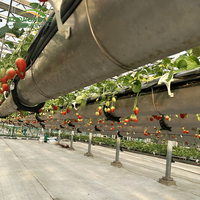 Système hydroponique en acier portable, économe en énergie, respectueux de l'environnement, super résistant pour les plantes à feuilles