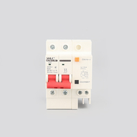 Interruptor Automático Miniatura de 2 Puertos MUTAI, Color Blanco, Proveedor Chino, Alta Capacidad de Interrupción, Protección Residual RCBO PA66