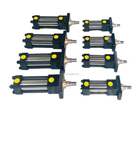 Vendita Diretta di Cilindri Idraulici a Media e Alta Pressione, Cilindri Idraulici con Piastra Frontale Installata - Product Image 5