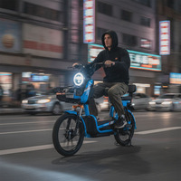 Vélo électrique multifonctionnel 500W 48V20A avec pneus larges de 20 pouces - Utilisation pour les trajets domicile-travail et en famille avec phare