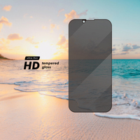 Protections d'écran en verre trempé anti-espion 2.5D 9H avec colle intégrale pour iPhone 12 13 14 15 16 17 18 Pro Max Plus