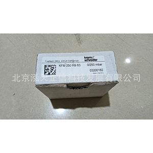 Manómetro Honeywell KFM 250 RB 63, producto original, precio bajo consulta, diez veces la compensación en caso de falsificación. - Product Image 2