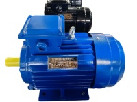 Moteur asynchrone triphasé Gexin IE2 efficace YE2-100L-2 3KW 1,5 CV IP55 à montage sur pied 3000 tr/min 380V 50/60Hz