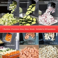 Cortadora de Vegetales Comercial Mond.uk X1 300kg/h, Rebanadora, Trituradora y Picadora de Acero Inoxidable para Restaurantes y Servicios de Catering