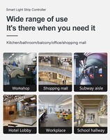 Zigbee Tuya pengontrol lampu Strip LED, mendukung peredupan dingin dan hangat, kontrol Audio Alexa eksternal, Drive pintar