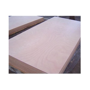 Precio de hoja de madera contrachapada de lujo Madera de arce Madera de haya Tilo Madera de pino 3mm-21mm Playwood - Product Image 6