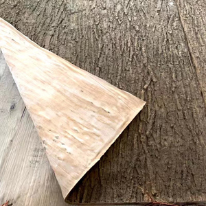 Rami artificiali in gomma morbida per decorazioni interne, tubi d'acqua, decorazioni per la casa e il giardino, fai da te, piante finte - Product Image 2
