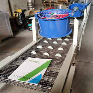 Gıda sınıfı SUS304/anlık erişte dondurulmuş gıda ve bisküvi taşıma gıda konveyör için 316 <span class=keywords><strong>Net</strong></span> örgü kemer - Product Image 6