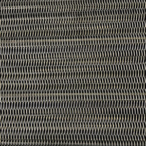 SS304สแตนเลสโซ่เกลียวสายพานลำเลียงห่วงโซ่การเชื่อมโยงโลหะสมดุลสานลวดตาข่าย - Product Image 6