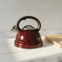 Bouilloire à eau en acier inoxydable 304 écologique, pleine couleur, pour la maison et les hôtels, utilisation sur cuisinière