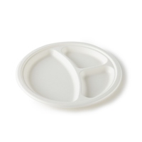 Assiette ovale jetable compostable en canne à sucre blanche de haute qualité de 9 pouces avec logo personnalisé
