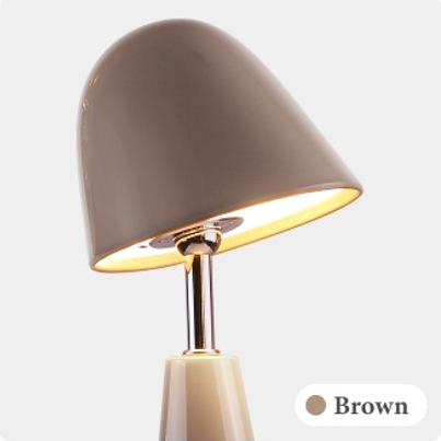 สีน้ำตาล