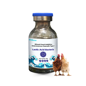 Vitboo Probióticos en Polvo para Pescado, Camarón, Complejo Probiótico para Animales Acuáticos, <span class=keywords><strong>Lactobacillus</strong></span> Powder - Product Image 6