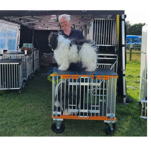 Portable grand <span class=keywords><strong>chariot</strong></span> d'exposition pour animaux de compagnie <span class=keywords><strong>chariot</strong></span> en aluminium pliable <span class=keywords><strong>chien</strong></span> toilettage bras bouton fermeture élégant motif Animal - Product Image 6