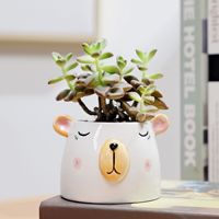 Keramik dengan Panda Lucu, Berbagai Sukulen, Bunga Kecil, dan Tanaman Hijau. Pot Dekoratif untuk Rangkaian Bunga.