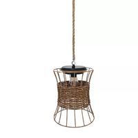 Pendentif en rotin de forme ovale allumant les lampes suspendues de décor à la maison en plastique pour le bureau à domicile