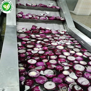 Tươi trắng toàn bộ xắt nhỏ hành tây iqf đông lạnh trước cắt thái hạt lựu cắt lát khối khối lợi ích sức khỏe số lượng lớn bán buôn - Product Image 6