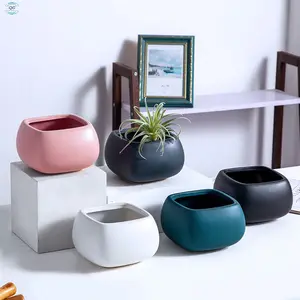 China Supplier High Quality Large Stock Ceramic Pots Europe Indoor Plant Pots For Home And Hotel Decoration