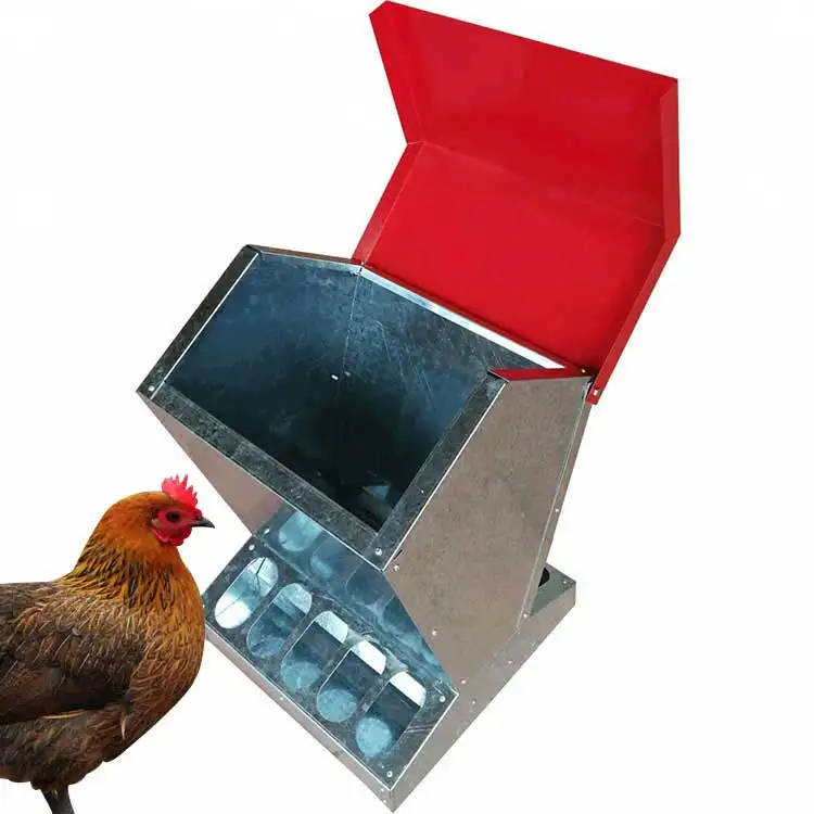 कस्टम चिकन खिला उपकरण स्वचालित खिला प्रणाली चित्रित जस्ती चिकन फीडर पशु फीडर