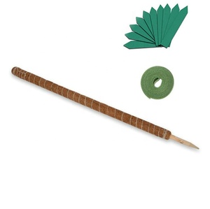 Poteau totem <span class=keywords><strong>en</strong></span> fibre de coco de 100 cm, 15 étiquettes de plantes, attaches de jardin, bâton de mousse <span class=keywords><strong>pour</strong></span> le soutien des plantes, extension <span class=keywords><strong>pour</strong></span> plantes grimpantes, plantes rampantes - Product Image 1