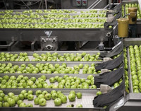 Kant-En-Klare Fabrieksprijs Geconcentreerde Appelpeer Sinaasappelvruchtensap Verwerkingsmachine Fabriek Productie-Installatie