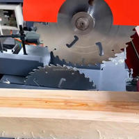Scie circulaire de table électrique à double lame pour le travail du bois, la coupe de bois dur et de planches