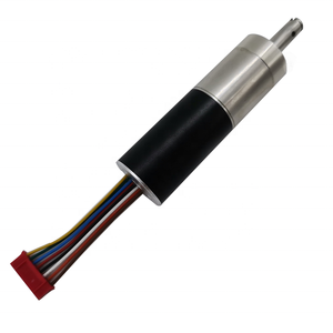 Motor de engranajes planetarios sin escobillas, EC2232, 22mm, 6V, <span class=keywords><strong>9V</strong></span>, 12V, 18V, 24V, CC, sin escobillas, para destornillador eléctrico inteligente - Product Image 1