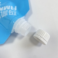 Sacs à eau personnalisés de grande capacité : 5L, 10L, 15L, 20L. Sacs à buses liquides portables d'extérieur. Sacs à boisson pliables en plastique.