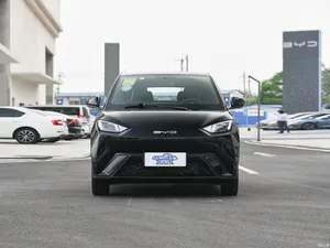 2023 BYD सीगल ब्रांड नई उच्च गुणवत्ता वाली छोटी इलेक्ट्रिक कार नई ऊर्जा वाहन