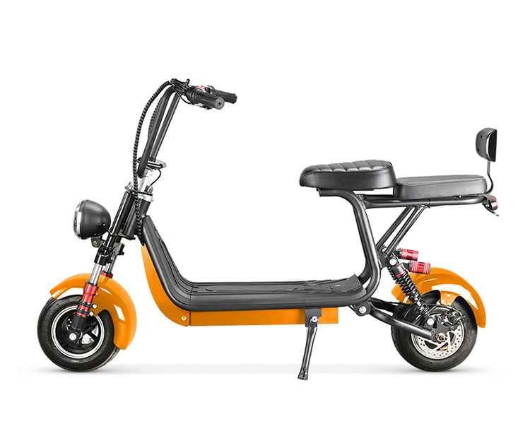 2020 Citycoco Electric Scooter - 800W Mini Ride for Kids