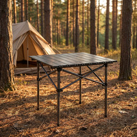 Table pliante d'extérieur Qiqika ultra-légère en fer et aluminium, résistante aux déchirures, pour le camping et le trekking
