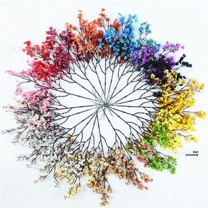 Gypsophila (respirazione del bambino) artificiale multicolore in tessuto di seta, stelo singolo, per decorazioni nuziali e domestiche, accessorio per <span class=keywords><strong>capelli</strong></span>, spedizione internazionale - Product Image 4