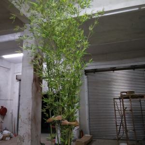 Nouvelle Collection 2026 : Plante Artificielle <span class=keywords><strong>Bambou</strong></span> Chanceux en Plastique, Idéale pour l'Intérieur et l'Extérieur, Décoration Paysagère - Product Image 5